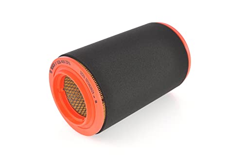 Bosch S0370, Filtro Aria