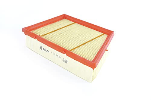 Bosch S0324, Filtro Aria