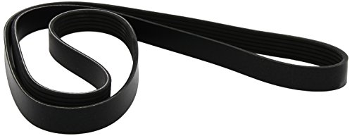 Dayco 6Pk1613 Cinghia Poly-V Com.P-A-C Regata D.1930Cc