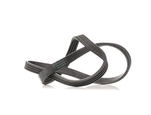 Dayco 4Pk841 Cinghia Poly-V Com.A-S Peugeot 305
