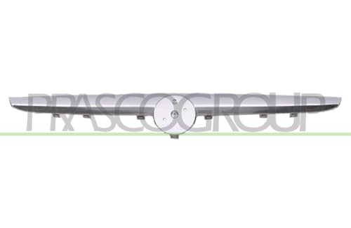 Prasco Ft3442206 - Premium-Greenline Modanatura Decorativa/Protettiva, Griglia Radiatore