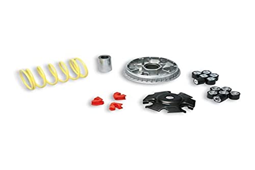 Malossi – 60900 Variatore Per Mult