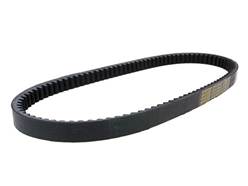 Dayco 8179 K 8 Power Plus Cinghie Trapezoidali Kevlar Rinforzato, L1006 X B22