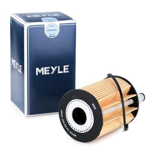 Meyle Filtro Dell'Olio Per Ford Fabbricazione
