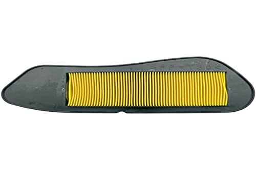 Inserto Filtro Aria Per Cityliner, Skyliner, X-Max, X-City