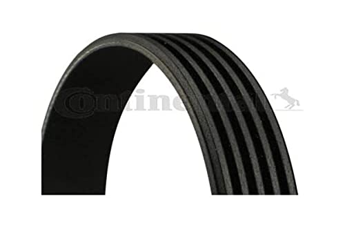 Contitech 5 Pk 813 Cinghie Trapeiz