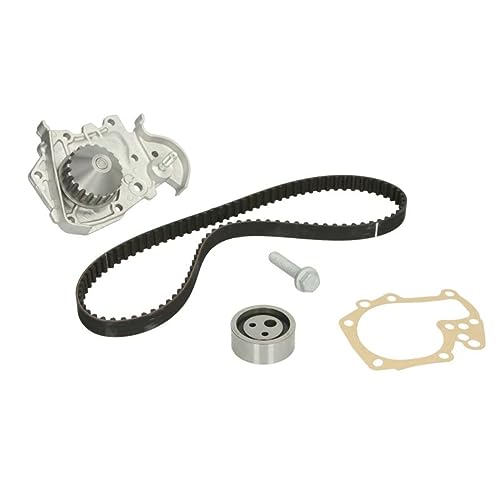 Ina 530019131 Kit Tendicinghia