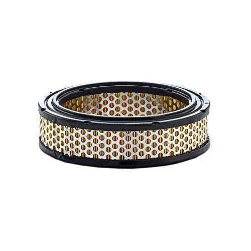 Mann-Filter C 2233 Filtro Aria – Per Auto