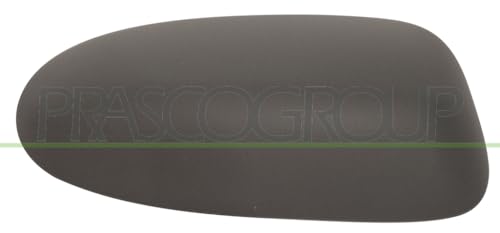 Prasco Ci0237413 - Copertura, Specchio Esterno