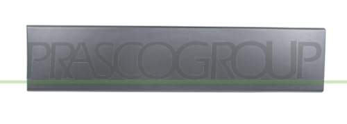 Listello Di Protezione Porta Posteriore Destra Grigio Scuro