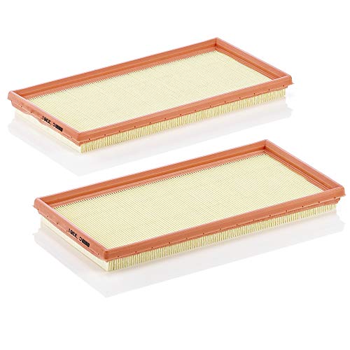 Mann-Filter C 3361-2 Filtro Aria – Per Auto
