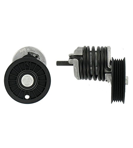 Skf Vkm 31034 Kit Tendicinghia