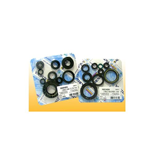 Athena P400250400256 Kit Paraoli Motore