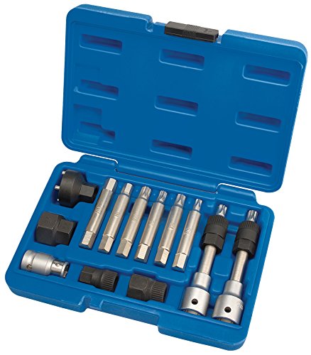 Draper 31913 Expert Pulegge Tool Kit, Set Di 13