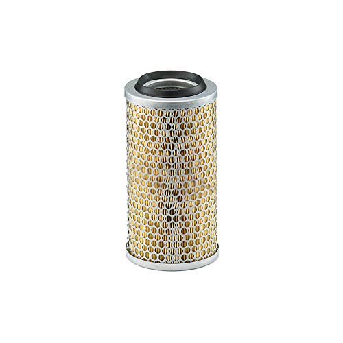 Mann-Filter C 13 131 Filtro Aria – Per Veicoli Commerciali