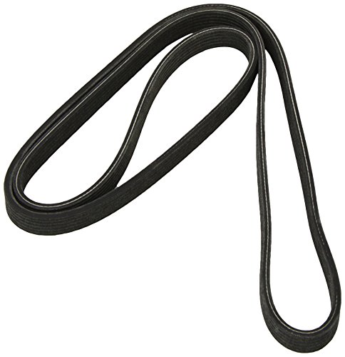 Dayco 6Dpk1817 Cinghia