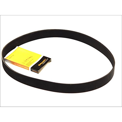 Contitech 10Pk1688 Cinghia Poly-V