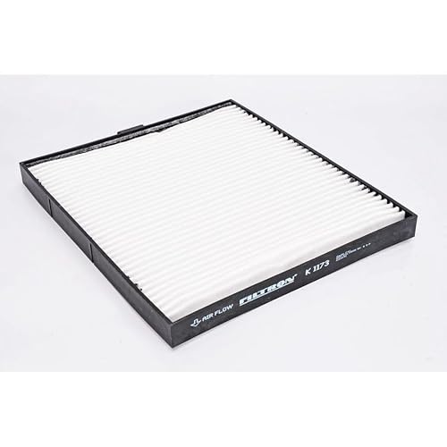 Filtron-Filtro Habitaculo Kia Carnival Sedona I Carnival I/Ii/Sedona Ii, Taglia: 296 X 231 Mm X 26 Mm