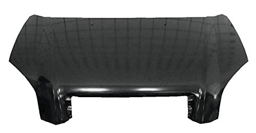Equal Quality L03121 Cofano Motore Anteriore Per Auto