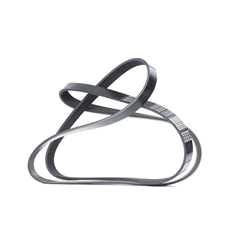 Meyle 0500061836 Cinghia Poly-V