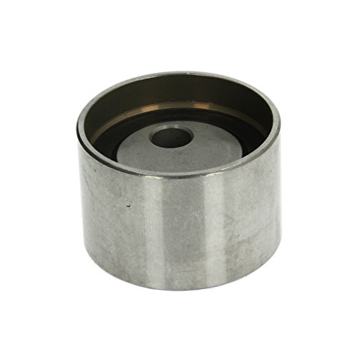 Snr Gt377.03 Rullo Tenditore, Cinghia Dentata
