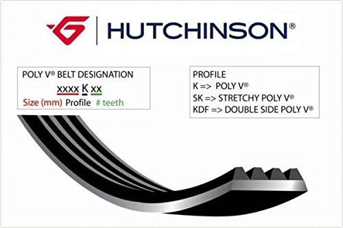Hutchinson 2622 K 6 Cinghia Poly-V