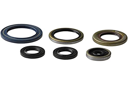 Athena P400270400013 Kit Paraoli Motore