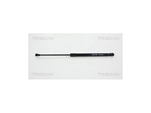Triscan 8710 66206 Cofano Motore