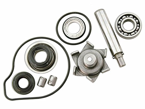 Reparaturkit Acqua Pompa Per Pcx 125