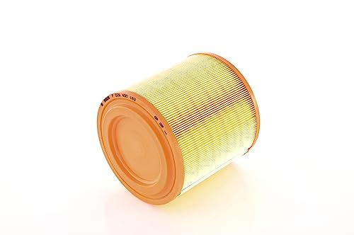 Bosch F026400183 Cartuccia Filtro Di Aria