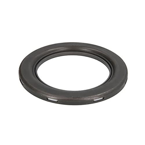 Snr M258.09 Supporto Ammortizzatore A Molla