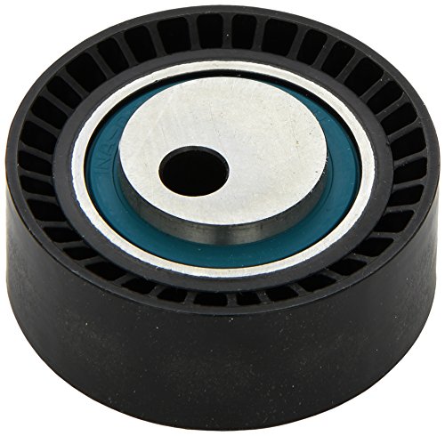 Ina 531 0148 10 - Rullo Tenditore, Cinghia Poly-V