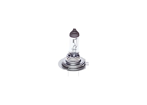 Bosch 1987302471 Bosch Lampadine