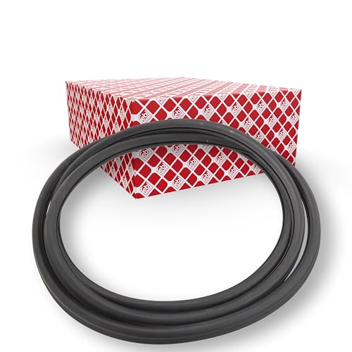 Febi Bilstein 02792 Guarnizione Per Parabrezza (Versione Senza Listelli Decorativi)