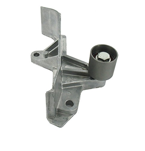 Skf Vkm 21170 Kit Puleggia Folle