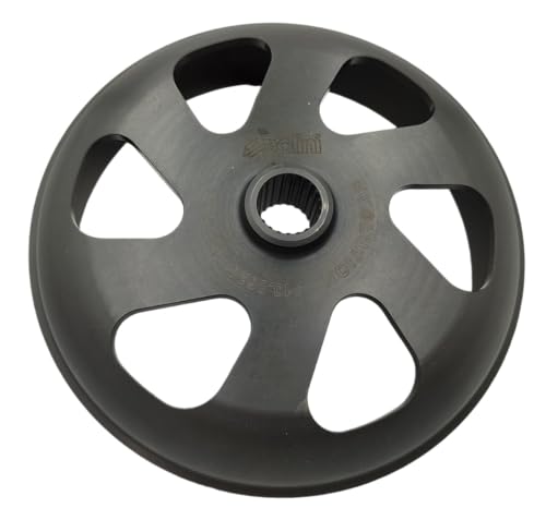 Campana Piaggio Vespa Beverly Liberty 125 150 200 250 300 Evolution D.134