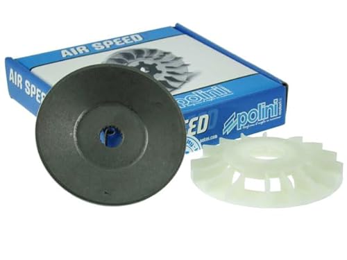 Polini Semip.Fissa Piaggio Zip D.95 12,5Gr