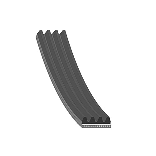Bp Ad04R903 Bp Cinghie