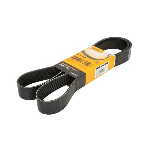 Contitech 10Pk1494 - Cinghia Striata