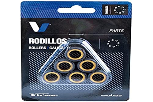 Variomatik Pesi Maxi Scooter 19 X 17 – 7,40 G