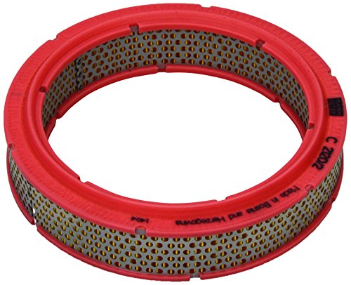 Mann-Filter C 2120/2 Filtro Aria – Per Auto