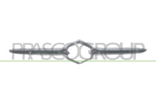 Prasco Sz0542226 - Premium-Greenline Modanatura Decorativa/Protettiva, Paraurti