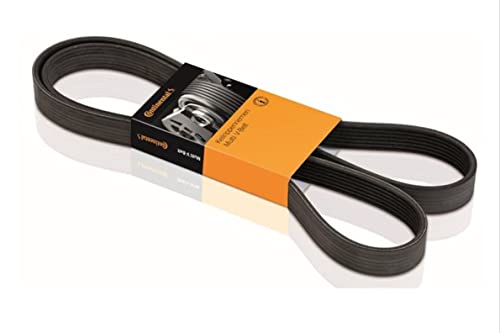 Contitech 8Pk1115 Cinghia Poly-V