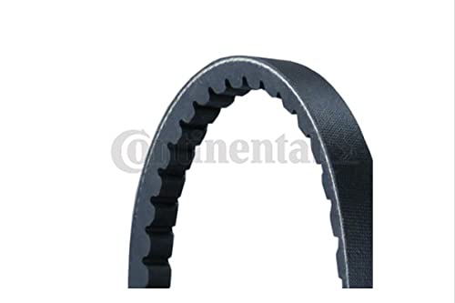 Contitech Avx13X1443 Cinghie Di Distribuzione Per Veicoli
