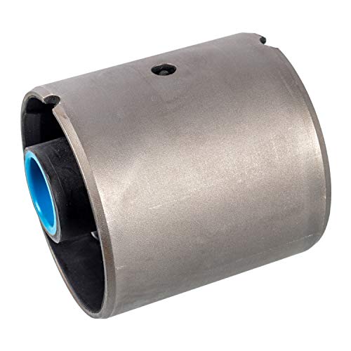 Febi Bilstein 171317 - Supporto Per Cruscotto, 1 Pezzo