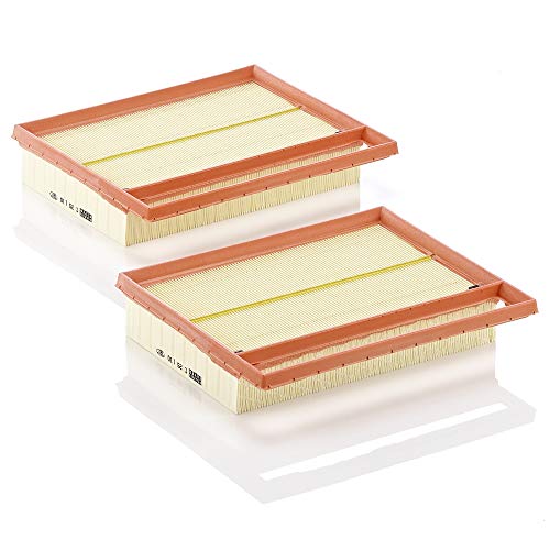 Mann-Filter C 25 110-2 Filtro Aria – Per Auto