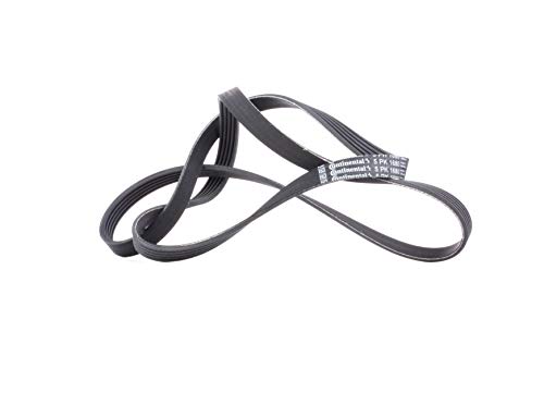 Contitech 5 Pk 1680 Cinghie Trapeiz