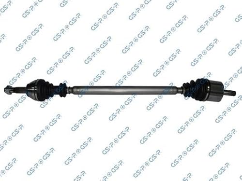 Gsp – 210013 Asse