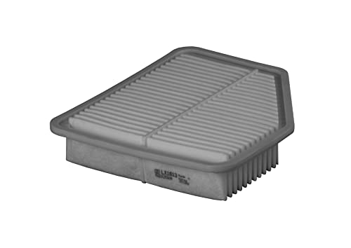 Knecht Lx 1613 Filtro Motore