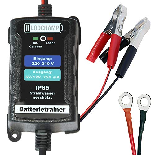 Lodchamp Caricatore Di Manutenzione 146303 Battery Trainer 6V/12V-750Mah Ip65 Caricabatterie Di Manutenzione Per Auto, Moto, Quad, Atv, Barca, Argento